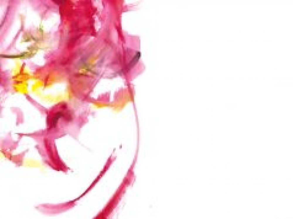 &Tau;&omicron; &laquo;&gamma;&upsilon;&nu;&alpha;&iota;&kappa;&epsilon;ί&omicron; &epsilon;&rho;ώ&tau;&eta;&mu;&alpha;&raquo; &alpha;&pi;&alpha;&nu;&tau;ά&tau;&alpha;&iota; &sigma;&tau;&eta; &Sigma;&pi;ά&rho;&tau;&eta;