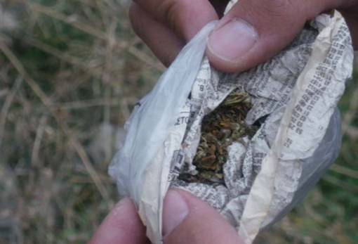 Ανήλικη συνελήφθη στη Σπάρτη για κάνναβη