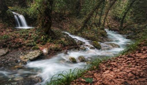 &Delta;&iota;&epsilon;&theta;&nu;ή&sigmaf; &delta;&iota;ά&kappa;&rho;&iota;&sigma;&eta; &gamma;&iota;&alpha; &tau;&eta; &Lambda;&alpha;&kappa;&omega;&nu;ί&alpha;: &Omicron; &pi;&omicron;&tau;&alpha;&mu;ό&sigmaf; &Kappa;ά&sigma;&tau;&omega;&rho; &tau;&omicron;&upsilon; &Kappa;&alpha;&sigma;&tau;&omicron;&rho;ί&omicron;&upsilon; &kappa;&epsilon;&rho;&delta;ί&zeta;&epsilon;&iota; &beta;&rho;&alpha;&beta;&epsilon;ί&omicron; &phi;&omega;&tau;&omicron;&gamma;&rho;&alpha;&phi;ί&alpha;&sigmaf;
