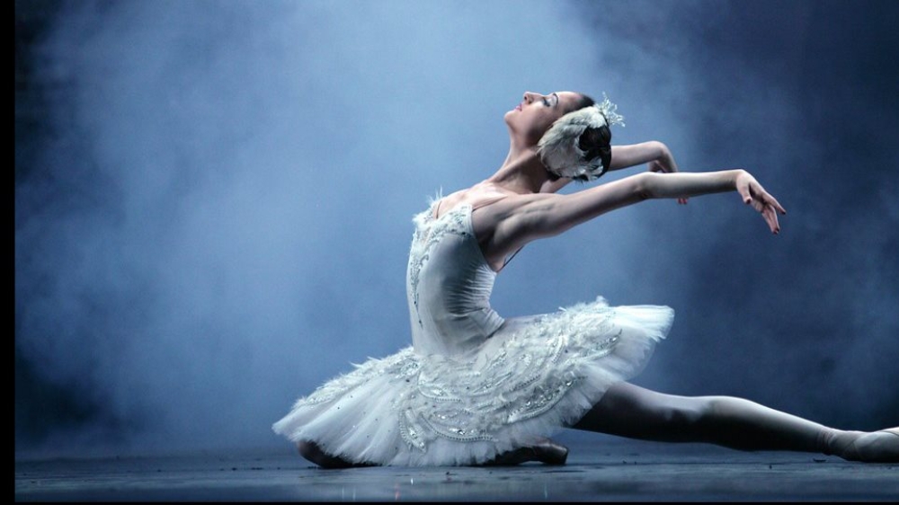 &Mu;&alpha;&tau;&alpha;&iota;ώ&theta;&eta;&kappa;&epsilon; &eta; &laquo;&Lambda;ί&mu;&nu;&eta; &tau;&omega;&nu; &Kappa;ύ&kappa;&nu;&omega;&nu;&raquo; &sigma;&tau;&omicron; &Sigma;&alpha;ϊ&nu;&omicron;&pi;&omicron;ύ&lambda;&epsilon;&iota;&omicron;