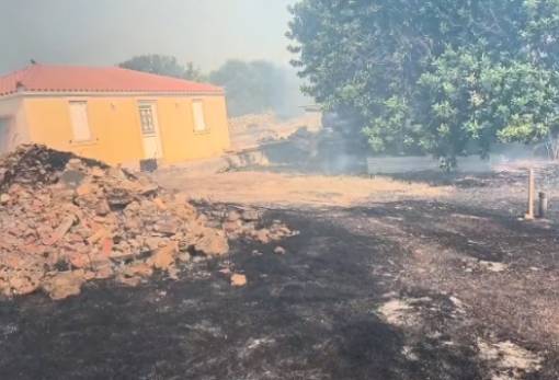 Φωτιά σε εξέλιξη στην Ελιά Μονεμβασίας