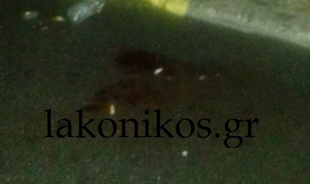 &Xi;&alpha;&nu;ά &pi;&rho;&omega;&tau;&alpha;&gamma;&omega;&nu;&iota;&sigma;&tau;έ&sigmaf; &sigma;&epsilon; &epsilon;&pi;&epsilon;&iota;&sigma;ό&delta;&iota;&omicron; &omicron;&iota; &phi;&epsilon;&rho;ό&mu;&epsilon;&nu;&omicron;&iota; &omega;&sigmaf; &delta;&rho;ά&sigma;&tau;&epsilon;&sigmaf; &tau;&eta;&sigmaf; &delta;&omicron;&lambda;&omicron;&phi;&omicron;&nu;ί&alpha;&sigmaf; &Alpha;&rho;&phi;ά&nu;&eta;;