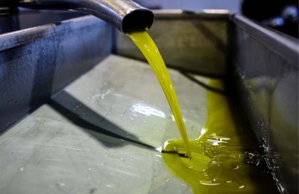 Απειλούνται με «σύνθλιψη» τα ελαιοτριβεία