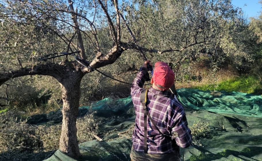 &Omicron;&delta;&eta;&gamma;ό&sigmaf; &laquo;&epsilon;&pi;&iota;&beta;ί&omega;&sigma;&eta;&sigmaf;&raquo; &gamma;&iota;&alpha; &tau;&eta;&nu; &Epsilon;&nu;&iota;&alpha;ί&alpha; &Epsilon;&nu;ί&sigma;&chi;&upsilon;&sigma;&eta;