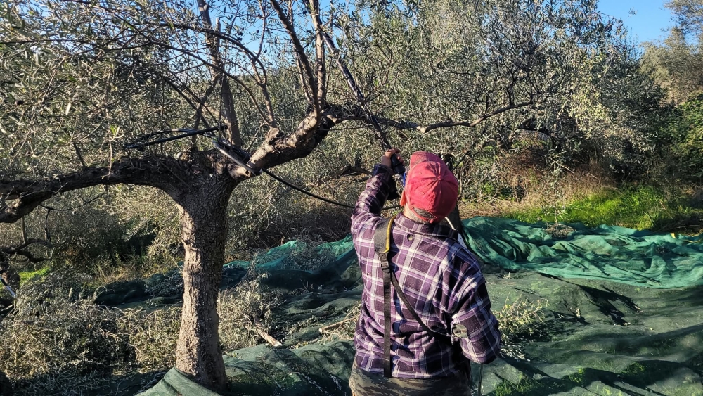 &Omicron;&delta;&eta;&gamma;ό&sigmaf; &laquo;&epsilon;&pi;&iota;&beta;ί&omega;&sigma;&eta;&sigmaf;&raquo; &gamma;&iota;&alpha; &tau;&eta;&nu; &Epsilon;&nu;&iota;&alpha;ί&alpha; &Epsilon;&nu;ί&sigma;&chi;&upsilon;&sigma;&eta;