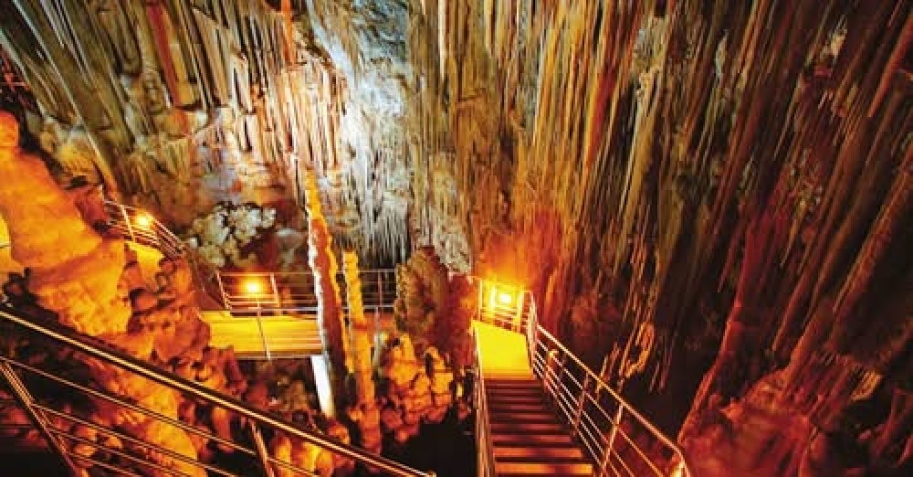 &Upsilon;&pi;&omicron;&delta;έ&chi;&epsilon;&tau;&alpha;&iota; &tau;&omicron; &kappa;&omicron;&iota;&nu;ό &kappa;&alpha;&iota; &tau;&omicron;&nu; &Phi;&epsilon;&beta;&rho;&omicron;&upsilon;ά&rho;&iota;&omicron; &tau;&omicron; &Sigma;&pi;ή&lambda;&alpha;&iota;&omicron; &Kappa;&alpha;&sigma;&tau;&alpha;&nu;&iota;ά&sigmaf;