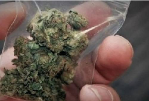 Σύλληψη 21χρονου για χασίς σε χωριό της Ανατ. Μάνης