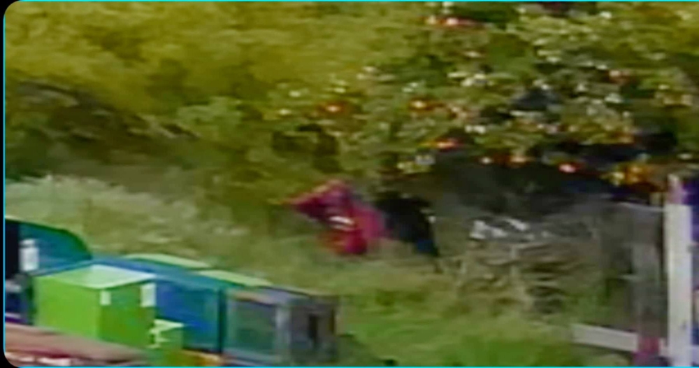 Άνδρο παραβατικότητας έχει γίνει η Τραπεζοντή