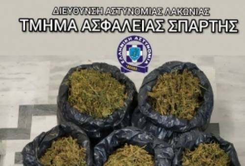 Έκρυβαν 60 κιλά κάνναβη σε σπηλιά