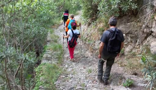 &laquo;&Beta;&alpha;&delta;ί&Zeta;&Omicron;&Upsilon;&Mu;&Epsilon; &sigma;&tau;&eta; &phi;ύ&sigma;&eta;&raquo; &Mu;&upsilon;&sigma;&tau;&rho;ά-&Tau;&alpha;ϋ&gamma;έ&tau;&eta;&sigmaf; &sigma;&upsilon;&nu;&tau;&rho;&omicron;&phi;&iota;ά &mu;&epsilon; &tau;&omicron;&nu; &Epsilon;&Omicron;&Sigma; &Sigma;&pi;ά&rho;&tau;&eta;&sigmaf;