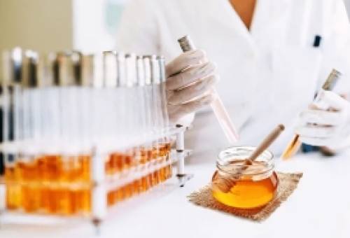 Λάκωνες μαθητές βάζουν το μέλι στο μικροσκόπιο