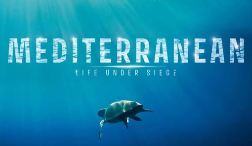 &Eta; &laquo;&Pi;&omicron;&lambda;&iota;&omicron;&rho;&kappa;&eta;&mu;έ&nu;&eta; &Mu;&epsilon;&sigma;ό&gamma;&epsilon;&iota;&omicron;&sigmaf;&raquo; &epsilon;&kappa;&pi;έ&mu;&pi;&epsilon;&iota; SOS &mu;έ&sigma;&omega; &nu;&tau;&omicron;&kappa;&iota;&mu;&alpha;&nu;&tau;έ&rho; &sigma;&tau;&omicron; &Mu;&omicron;&upsilon;&sigma;&epsilon;ί&omicron; &Epsilon;&lambda;&iota;ά&sigmaf; &kappa;&alpha;&iota; &Lambda;&alpha;&delta;&iota;&omicron;ύ