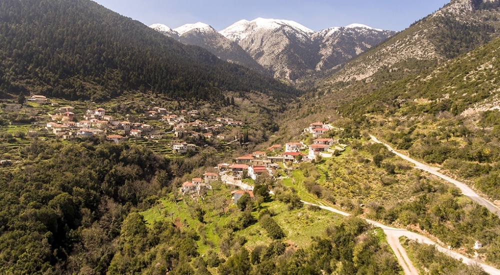 &Delta;&rho;ά&sigma;&eta; &gamma;&iota;&alpha; &tau;&eta;&nu; &pi;&rho;&omicron;&sigma;&tau;&alpha;&sigma;ί&alpha; &kappa;&iota; &alpha;&nu;ά&delta;&epsilon;&iota;&xi;&eta; &tau;&omicron;&upsilon; &Pi;ά&rho;&nu;&omega;&nu;&alpha;