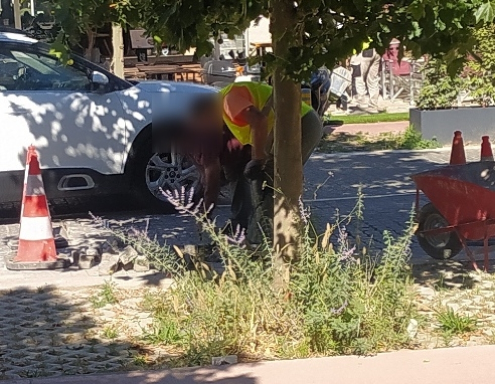 &Delta;&eta;&mu;&omicron;&tau;&iota;&kappa;ά ...
